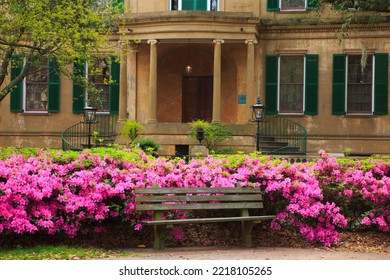 USA, Georgia, Savannah. Azaleas In Bloom At The Owens Thomas House.