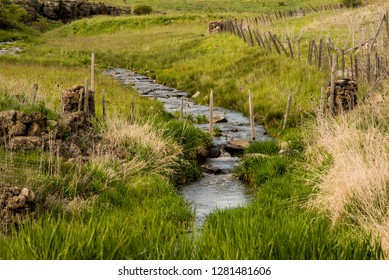 USA, Idaho, Columbia River Basin, Snake And Salmon River Basins, Camas Prairie, Small Stream