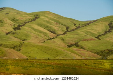 USA, Idaho, Columbia River Basin, Snake And Salmon River Basins, Hillside With Small Creeks That Flow Into The Salmon River