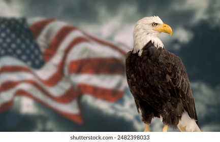 USA Independence Day celebration flags, and patriotic displays. High-resolution stock photo for holiday, culture, and festive content.