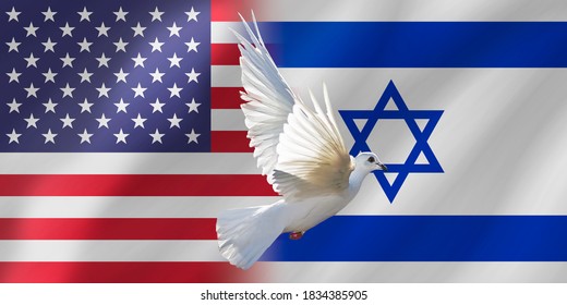 USA Israel Flag With Dove Of Peace
