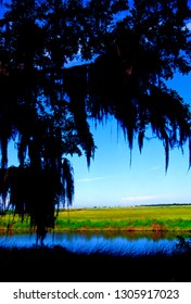 USA, Louisiana, Cameron Parish, Creole Nature Trail, National Scenic Byway, Sabine National Wildlife Refuge, Louisiana Outback