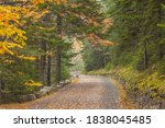 USA, Maine, Mt. Desert Island. Carriage Road in Acadia National Park during autumn.