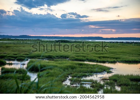 USA, Maryland, Assateague Island, marsh near lighthouse