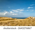 USA, Massachusetts, Newburyport. Parker River National Wildlife Refuge, Grass-covered dunes on Plum Island