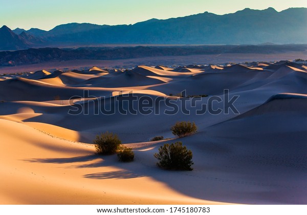 USA.\
Mesquite Flat Sand Dunes is part of Death Valley in California.\
Magic play of light on the sand. Dunes illuminated by orange\
sunset. The concept of ecological and photo\
tourism
