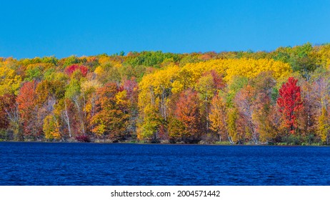 USA, Minnesota. Fall Colors On A Lake In The Northwoods.