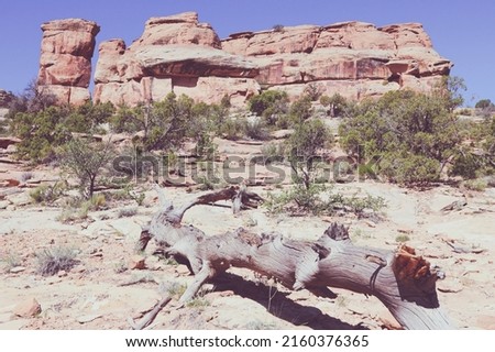 USA nature - Colorado National Monument. Rock formations. Vintage retro style photo.