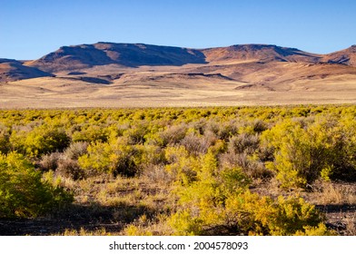 USA, Nevada, Black Rock Desert, Soldier Meadows, Greasewood Shrubs And Calico Mountains