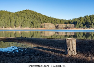 USA, Nevada, Carson City, Lake Tahoe State Park, Spooner Lake. A historic tree stump sits alone on the shore watching the lake.