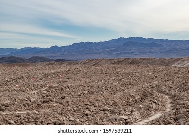 USA, Nevada, Clark County, Lake Mead National Recreation Area. Flags mark seeding areas in double-ripped harrow rows on this native habitat restoration reclamation project.