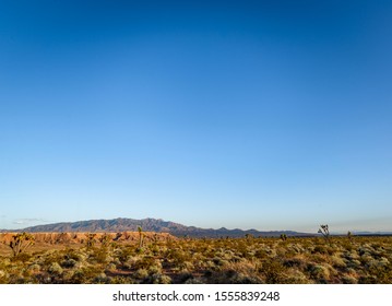 USA, Nevada, Clark County, Toquop Wash. A Clear Blue Mojave Desert Sky With Space For Copy Above A Flat Of Joshua Trees, Creosote Bush, Flat Top Mesa, And The Vrigin Mountains.