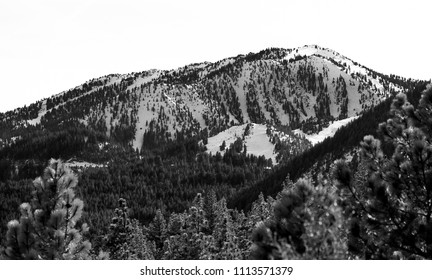 USA, Nevada, Washoe County, Reno: Slide Mountain Home Of Mt. Rose Ski Tahoe Resort And Slope. 9,702 Ft