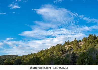 USA, Nevada, White Pine County. White Pine Range, Cathedral Fire. Puffy White Clouds And Mostly Sunny Skies Above A Pinyon Juniper Woodland In Eastern Nevada.