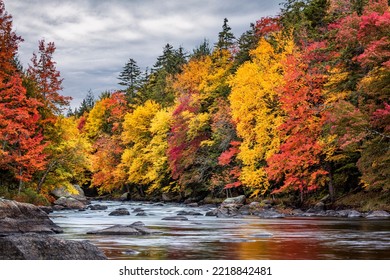 USA, New York, Adirondacks. Long Lake, Autumn Color Along The Raquette River