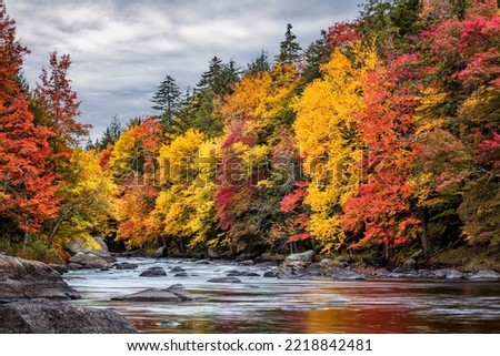 USA, New York, Adirondacks. Long Lake, autumn color along the Raquette River