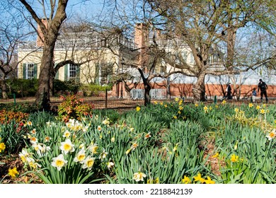 USA, New York City, Manhattan, Upper East Side. John Finley Walk Along East River, Gracie Mansion, Mayor's Home, Spring Bulbs Blooming