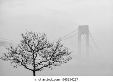 USA, New York, view of the Verrazano Bridge in a foggy day - FILM SCAN