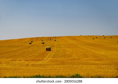 USA, North Dakota Enchanted Highway Farm Fields