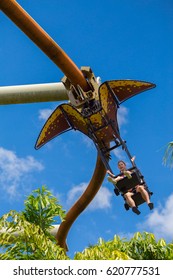 pteranodon flyers stock images royalty free images vectors islands of adventure pteranodon flyers