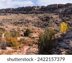 USA, State of Utah. Grand County. Mill Canyon Dinosaur Trail, near Moab. This is an outdoor museum maintained by the Bureau of Land Management, and is completely open to visitors. 