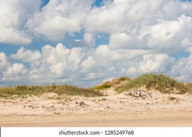 USA, Texas, Brownsville. Boca Chica Beach Is The Most Southern Beach In Texas. Sand Dunes With Anchoring Vegetation Provide Habitat For Many Species.