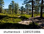 USA, Utah, Boulder, Escalante, Box-Death Hollow Wilderness, Vistas from Pine Creek-Hell