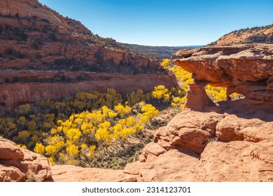 USA, Utah, Grand Staircase Escalante National Monument. Escalante River Basin rock formations.
