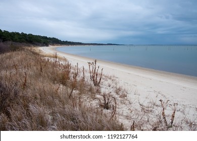 USA, Virginia, Northampton County, Eastern Shore  Of Virginia National Wildlife Refuge. A Beach Overlooking Chesapeake Bay.