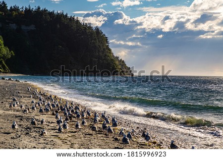 USA, Washington State, Post Townsend. Fort Worden State Park, flock of seagulls on the beach Stockfoto © 