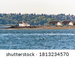 USA, Washington State, Seattle. West Point Lighthouse (northern point of Elliott Bay) and keeper cottages. Masts of sailboats Shilshole Marina behind