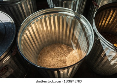 USA, Washington State, Woodland. August 18, 2019. Bin Of Grain At The Cedar Creek Grist Mill.