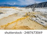 USA, Wyoming, Mammoth Hot Springs, Yellowstone National Park, Upper Terraces, Canary Spring Thermal Features