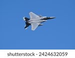 USAF McDonnell Douglas F-15C Fighter Jet
