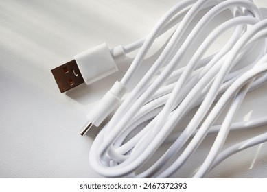 USB cable on a white background. A white prod for the phone.