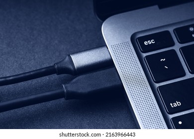 USB type c cables connected to the modern laptop connectors. Close up view.