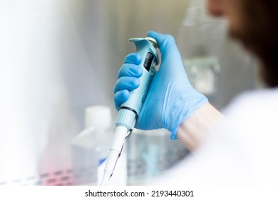 Use Of Micropipette At Cell Culture Safety Cabinet