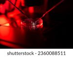 Use of modern embryologist device is set of micromanipulators