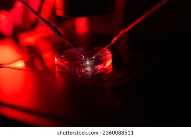 Use of modern embryologist device is set of micromanipulators