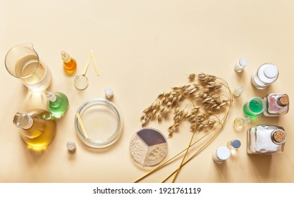 Use of organic oat extracts in cosmetology and food industry. Research of new types of natural cosmetics and bran food additives. Top view on lab glassware and oat seeds on table. Flat lay, copy space - Shutterstock ID 1921761119