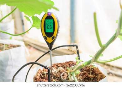 Use Soil PH Meter For Check The PH Value 