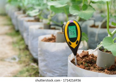 Use Soil PH Meter For Check The PH Value 