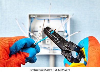 The use of the stripper cutter tool to strip the end of the electrical wire when repairing and updating wiring in the home grid. Electric installation work. Installing new fusebox with circuit breaker