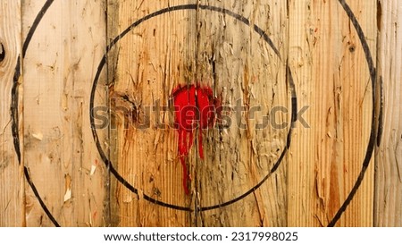 Used up Axe Throwing Target             