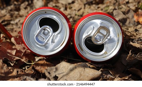 Used Beer Cans In Nature