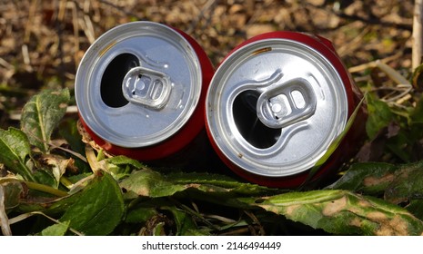 Used Beer Cans In Nature