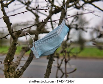 A Used, Blue Surgical Mask Used For COVID-19 PPE Protection, Discarded As Litter By A Rural Countryside Hedgerow Causing Environmental Pollution