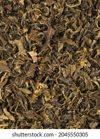 Used Or Brewed Dried Green Tea Leaves, To Be Used As Natural Organic Fertilizer, Increase Nutrient Levels And Improve Soil Quality, Closeup View