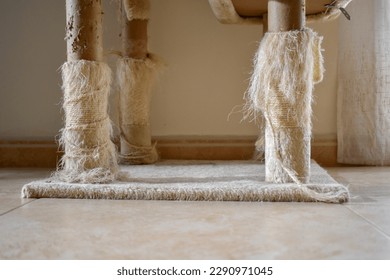 Used cat scratching post.  Old cat tower with copy space.