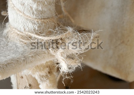 Used cat scratching post. Old cat tower with copy space.